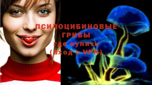 кокаин премиум Алексеевка