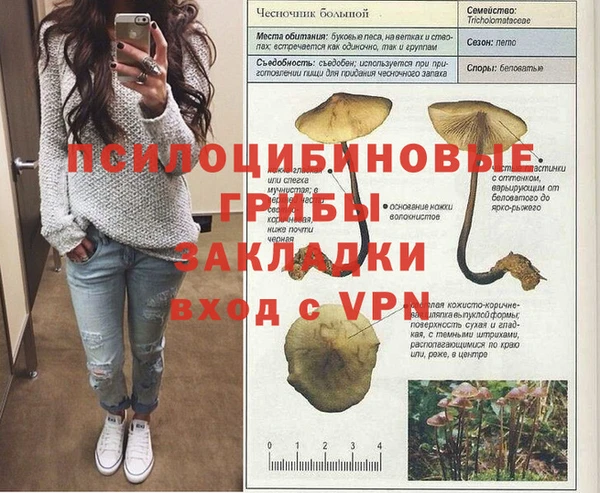 прущий лед Алзамай