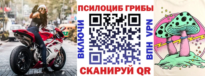 blacksprut ТОР  Почеп  Галлюциногенные грибы мицелий 